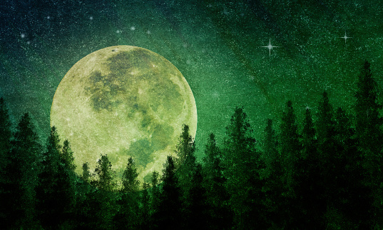 Fantasy Full Moon with an Evergreen Forest and Starry Night Sky - Atmospheric Mood.  Elements of this image furnished by NASA. - Source:  Supermoon - 201408100002HQ_orig URL: https://www.nasa.gov/sites/default/files/201408100002hq.jpg