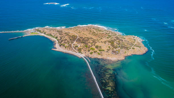 istock Granite Island of Victor Harbor 1486649028