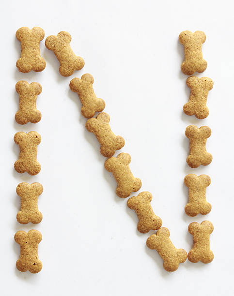 istock Bone Shape Dog food Letter N 148665176