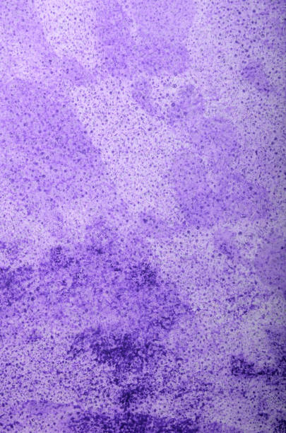 istock abstract purple background on a white background with stains 1486655118