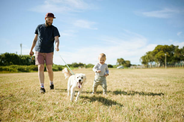 Family, baby and father walking the dog in field for exercise, freedom and adventure in countryside. Childhood, pets and happy boy and dad outdoors relaxing on holiday, summer vacation and weekend stock photo