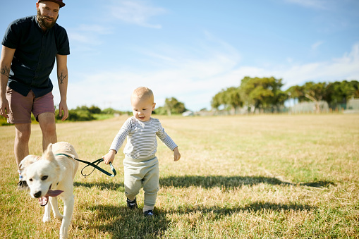 Happy, running and dog with baby and father in nature for freedom, playful and bonding. Happiness, animal care and growth with pet puppy and family in park for summer, youth and weekend break