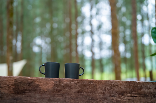 Two coffee cup on wooden bench in pine tree forest. People relax and  enjoy outdoor lifestyle travel and camping in forest mountain on summer holiday vacation.