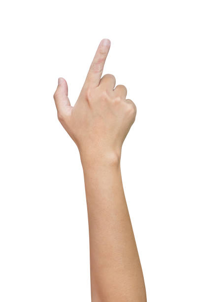 istock man hand touching or pointing to something isolated on white background 1486663041