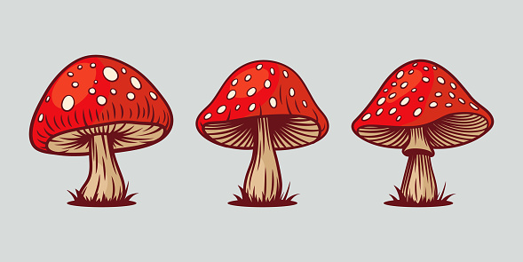 Vector Hand Drawn Mushroom With Outline Icon Set Isolated. Amanita Muscaria, Fly Agaric Scetch, Doodle, Linear Sign Collection. Magic Mushroom Symbol, Design Template. Vector illustration.