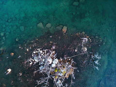 Aerial view of a small island in a wetland.