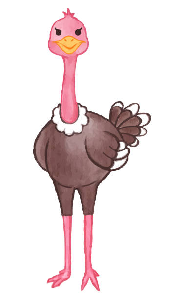 istock Ostrich . Watercolor paint design . Cute animal cartoon character . Standing gesture . Vector . 1486691743