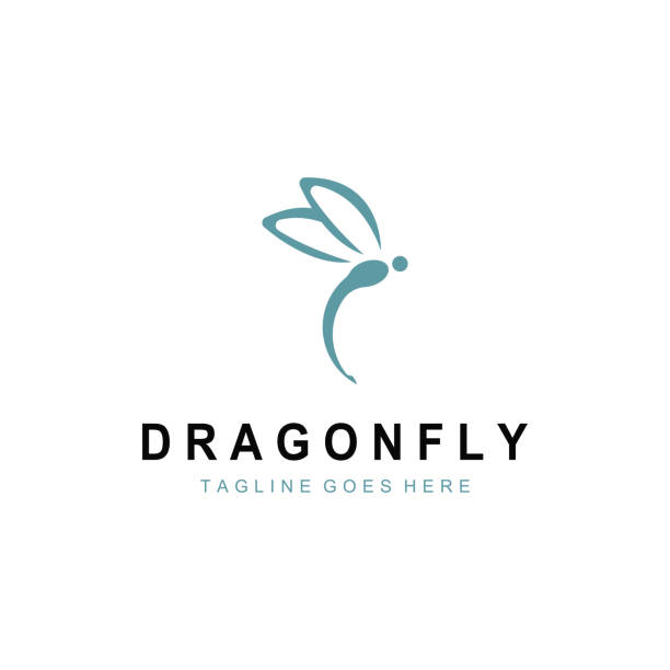 Dragonfly illustration icon Dragonfly illustration icon design template vector spider on flower stock illustrations