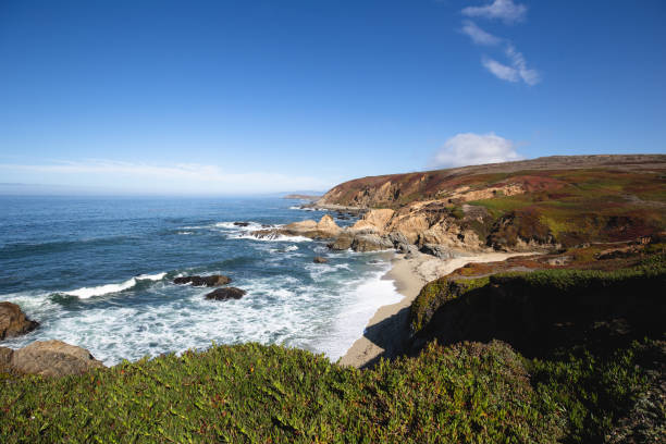 istock Bodega Bay, California pretty summer day colorful 1486698643