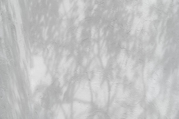 istock White cement or stone wall background and rough textured with shadow of trees 1486700311