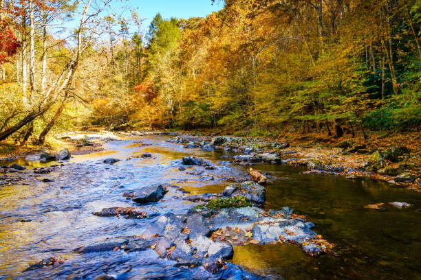 istock Big Laurel Creek 1486702699