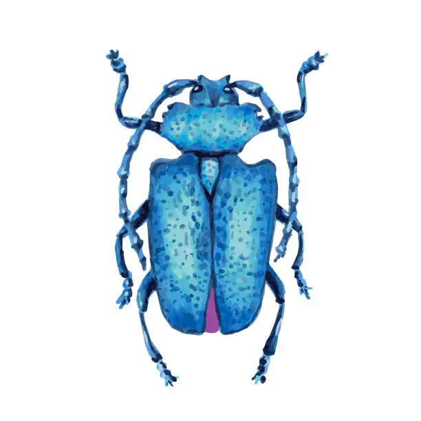 Vector illustration of Blue longhorn beetle.Hand drawn marker and watercolor drawing.The cut element clip art element for design decoration.