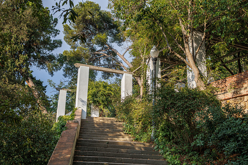 Barcelona Montjuic Garden- Public Park with Trees and Stone Staircase.