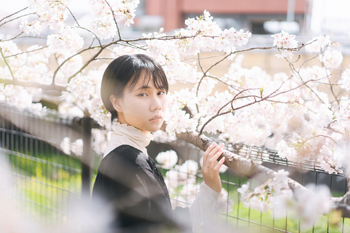 Portrait beautiful japanese woman with short hair. Sakura tree background. Relax in nature with spring season.
