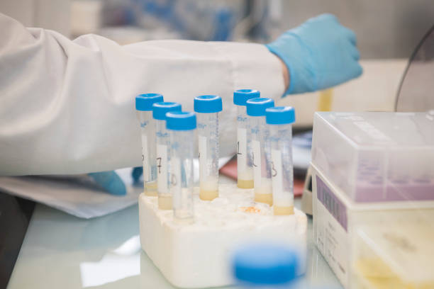 white rack with plastic test tubes in a science laboratory and an arm with labcoat and blue nitril gloves in the background. science, lab, laboratory, lab technician. - nitril imagens e fotografias de stock