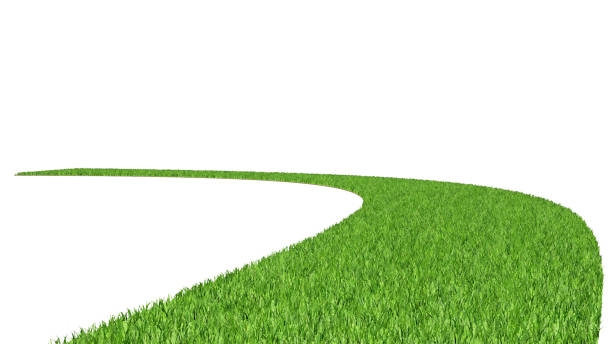 istock Curved walkway, green lawn on white background,3d rendering 1486725570