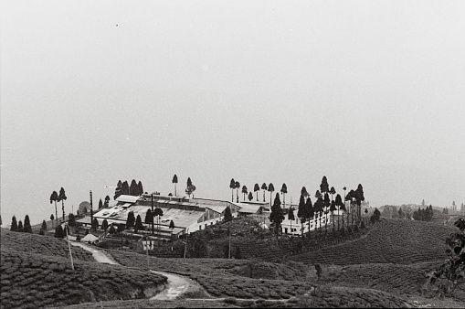 The horse-drawn carriages still had the majority, however first automobiles appeared. Photography from 19th century.