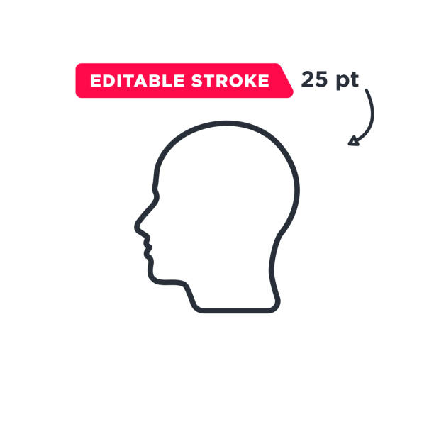 ilustrações, clipart, desenhos animados e ícones de silhueta da linha da cabeça. contorno do perfil. ilustração vetorial. silhueta do lado do rosto humano ilustração stock - vector brain www ideas