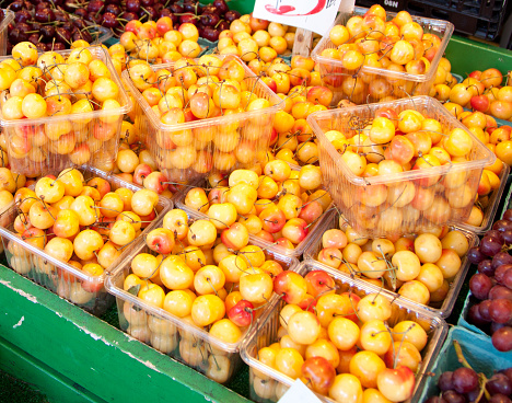 Yellow Rainier cherries for sale