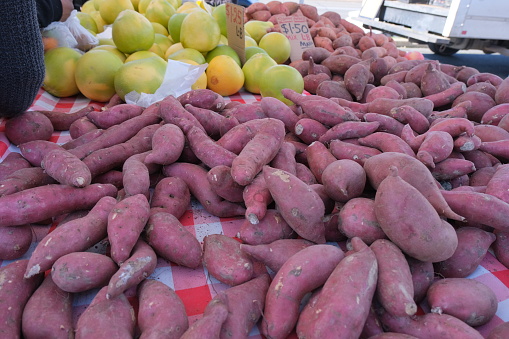 Sweet potato and grapefruit at farmers market