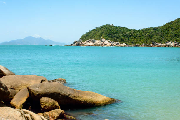 istock Collection of photos with theme beach 1486732919