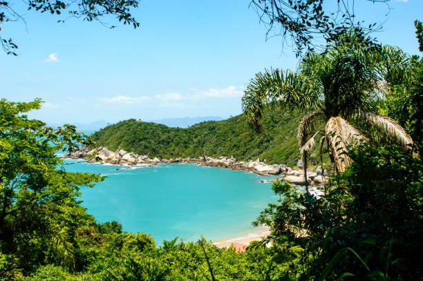 istock Collection of photos with theme beach 1486733105