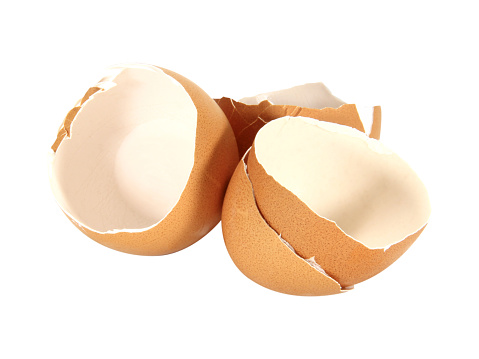 egg shells isolated on white background.Selection focus and with clipping path.