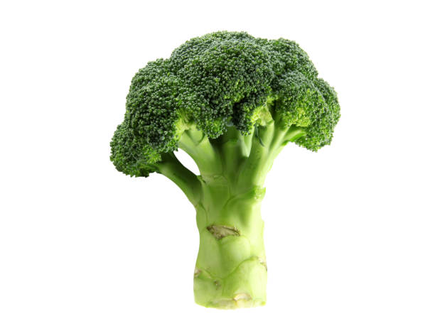 istock Broccoli, green vegetable for cooking isolated on white background. 1486735219