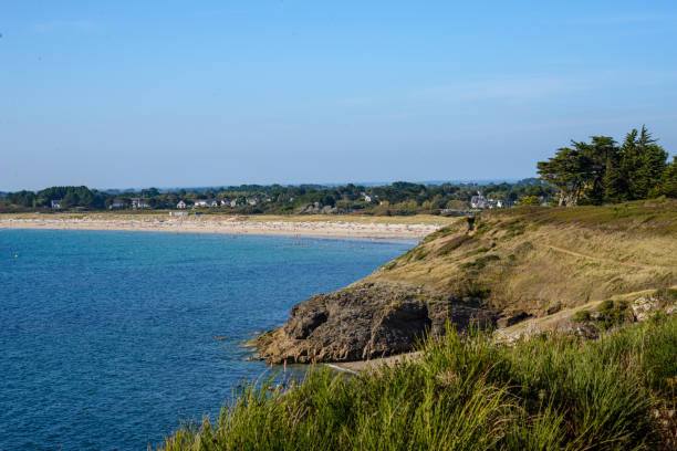 istock Collection of photos with theme beach 1486736366