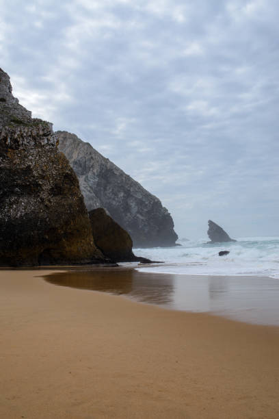 istock Collection of photos with theme beach 1486739996