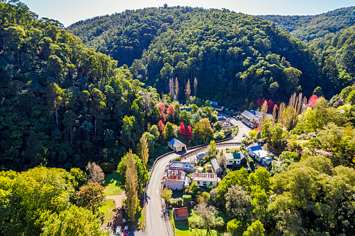 Aerial view: looking down mountain valley on historic buildings and dwellings in old gold mining town of Walhalla on a sun autumn day. Village is nestled in a remote heavily-wooded valley in the Gippsland Ranges in Victoria. Curved road winds uphill around buildings and through valley. Some of the buildings are replicas of originals.