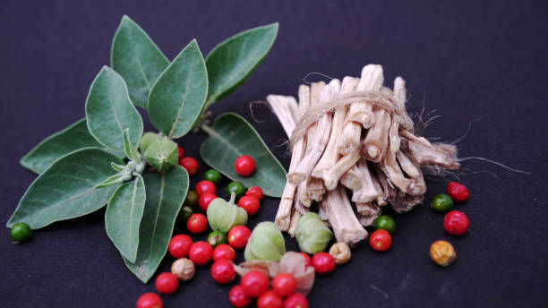 ashwagandha atau ginseng india adalah obat ayurveda dalam bentuk batang dan bubuk - vitamin foto potret stok, foto, & gambar bebas royalti