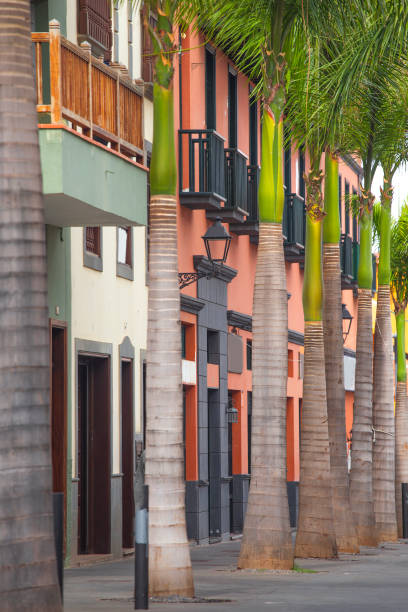 istock colored houses in Puerto de la Cruz 1486743127
