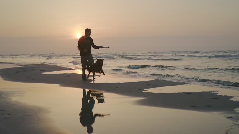 Man and his dog running together on the beach sand with stick in hand