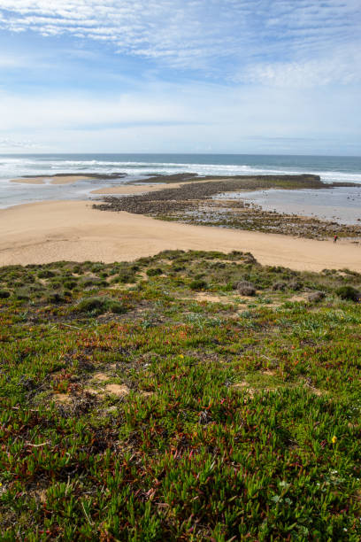 istock Collection of photos with theme beach 1486744186