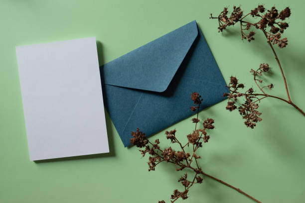 istock White blank greeting or invitation card and envelope with dried plant decoration on green background. 1486745957