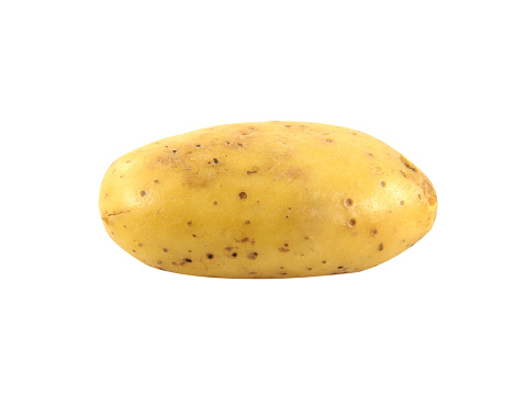 Single potato isolated on white background.