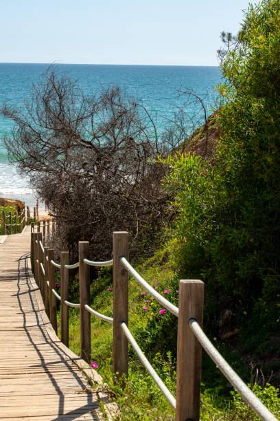 istock Collection of photos with theme beach 1486747180