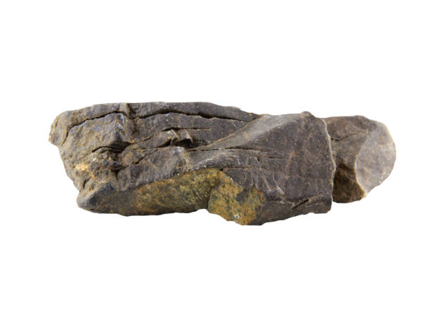 istock one rock isolated on white background with clipping path. 1486747380