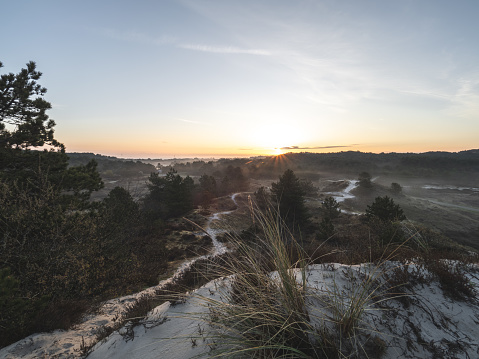 Sunrise in the Dunes of Schoorl, with forest