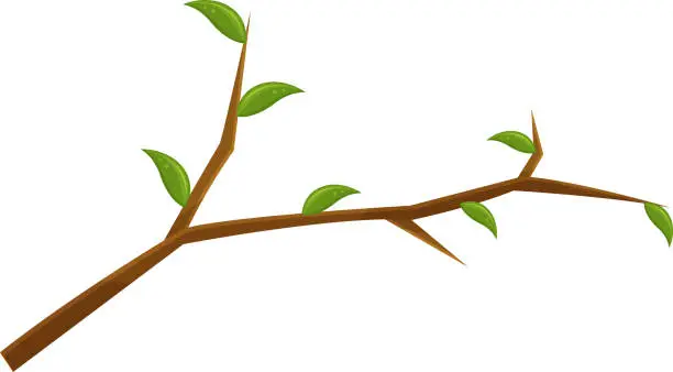 Vector illustration of vector illustration of a tree branch, a broken branch, a wooden knot with leaves