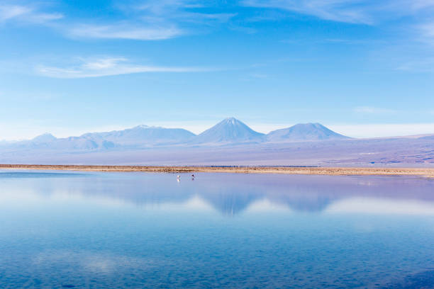 View of Chaxa lagoon