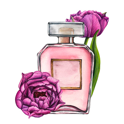 Watercolor glass perfume bottle with violet tulips. Hand-drawn illustration flowers aroma spray isolated on white background for greeting cards, wedding invitation and birthday.