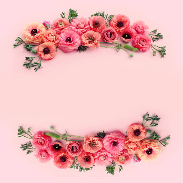 Top view image of pink flowers composition over pastel background
