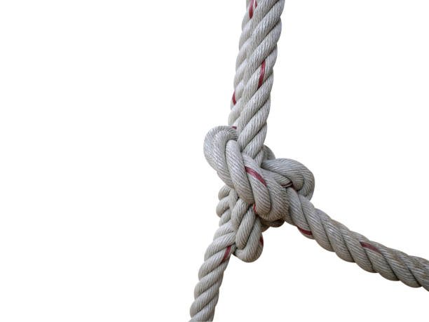 istock rope with knot.Useful to hold objects firmly, safely, and strong isolate on white background with clipping path. 1486756472