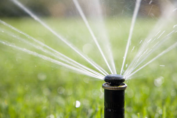 istock Sprinkler watering the green grass 1486758327
