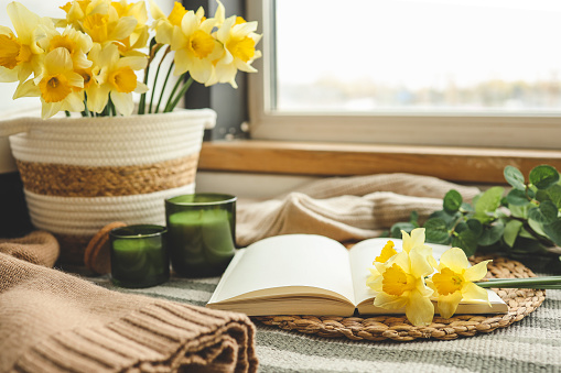 Open book, candle and basket with daffodils, spring cozy composition in home interior.