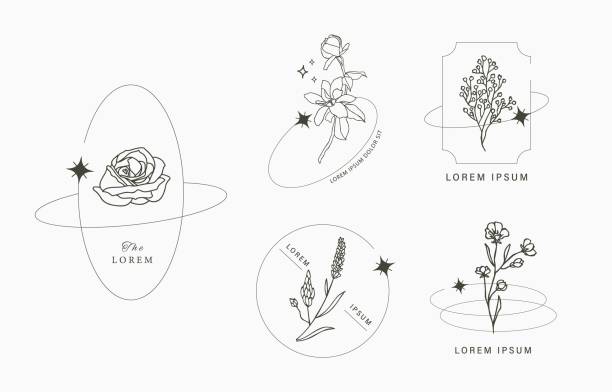linie objektsammlung mit hand, magnolie, rose, lavendelblüte - massage stamps stock-grafiken, -clipart, -cartoons und -symbole