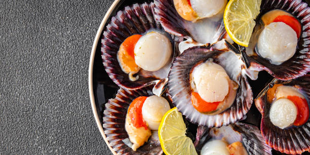 istock seafood scallop in shell fresh meal snack on the table copy space food background rustic top view 1486762563