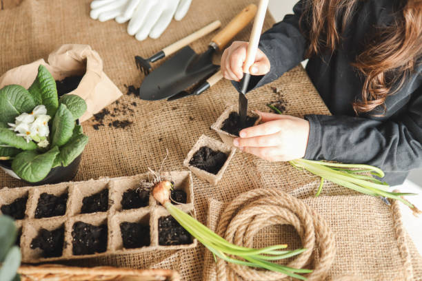 istock Girl doing gardening at home 1486766622